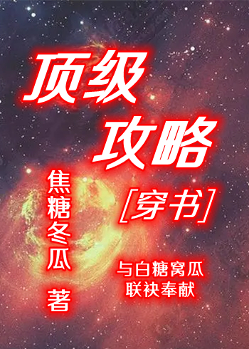 顶级攻略番外